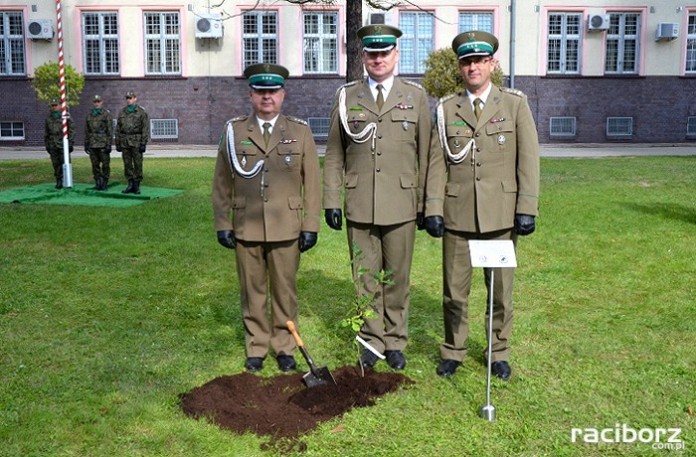 Dąb Niepodległości został posadzony na terenie Komendy Śląskiego Oddziału Straży Granicznej