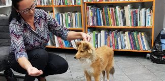 dogoterapia Klub Przyjaciół Biblioteki Ostróg