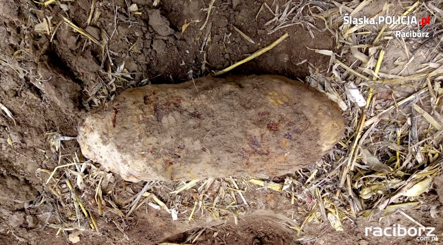 Bomba na polu w Krzyżanowicach