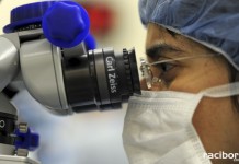 Transplantacja Racibórz