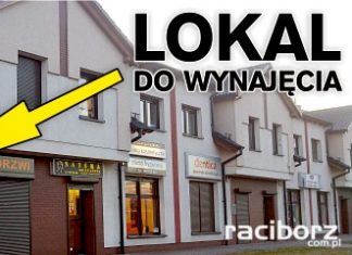 Lokal do wynajęcia