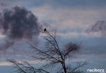 silny wiatr ostrzezenie meteorologiczne