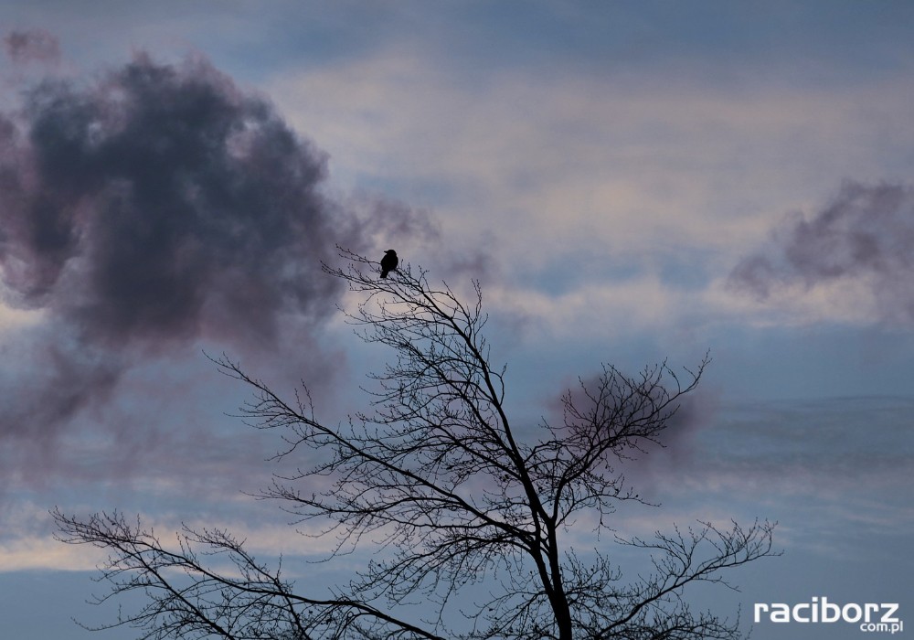 silny wiatr ostrzezenie meteorologiczne
