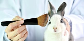 Koniec z testowaniem kosmetyków na zwierzętach!