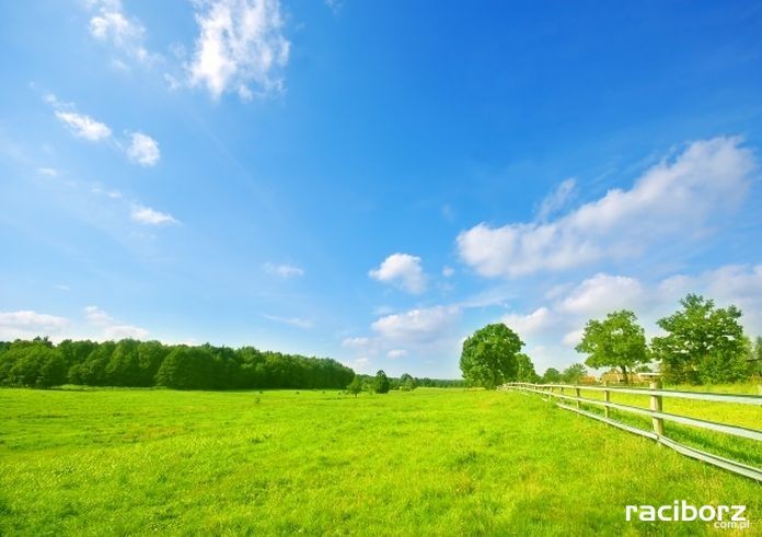 Agroenergia