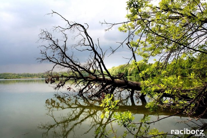 Dorzecze Odry atrakcje