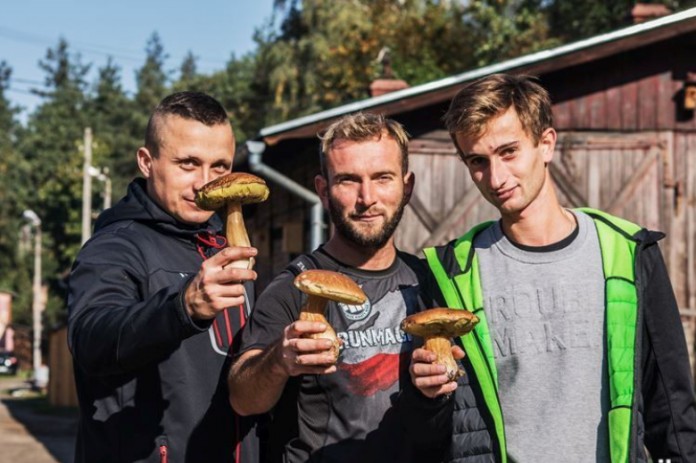 Grzybobranie 2018. Fot. Stanisław Borowik