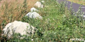 Ścieżka rowerowa prowadząca na Łężczok Fot. IK