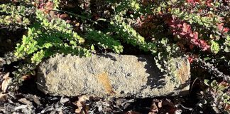 Pocisk w Rydułtowach