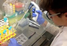 Uczeń wodzisławskiego „Tischnera” na tropie leku na raka