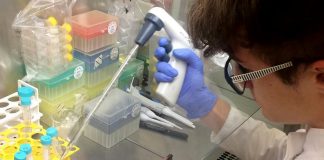 Uczeń wodzisławskiego „Tischnera” na tropie leku na raka