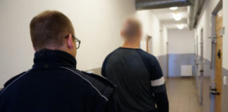 Wyrzucił kota przez okno