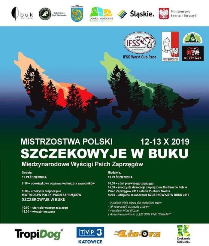 wyscigi psich zaprzegow rudy