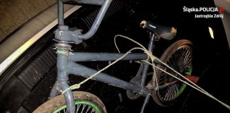 Jastrzębie Zdrój kradzież