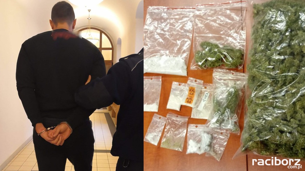 Wodzisław Śląski narkotyki