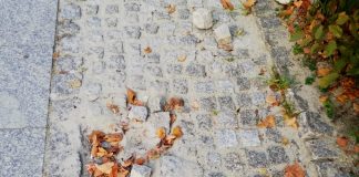 Kostka brukowa apel radnego