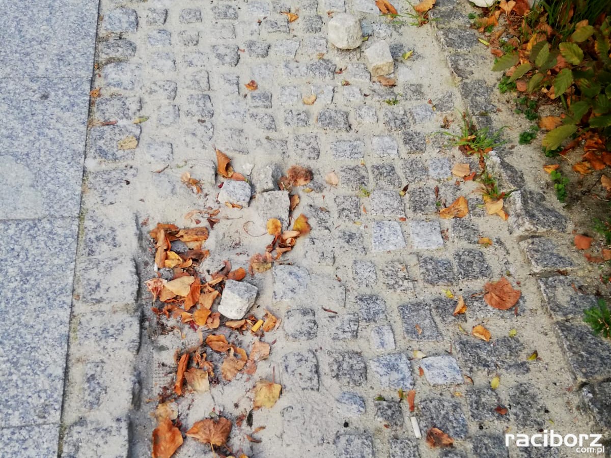 Kostka brukowa apel radnego