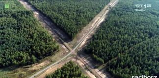 Rudzkie lasy program TVP