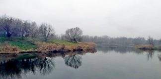 Żwirownia na Ostrogu