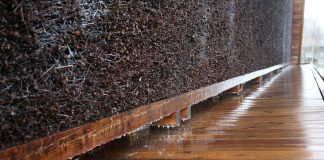 Tężnia solankowa w Raciborzu