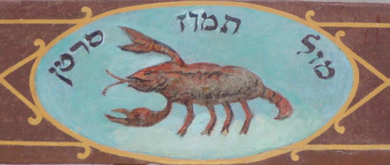 znaki zodiaku synagoga