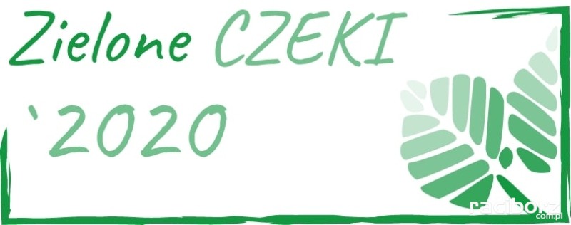 zielone czeki