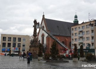 Oględziny Kolumny Maryjnej.