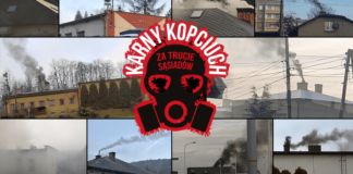 Karny Kopciuch