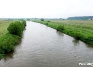 odra kanal ulga