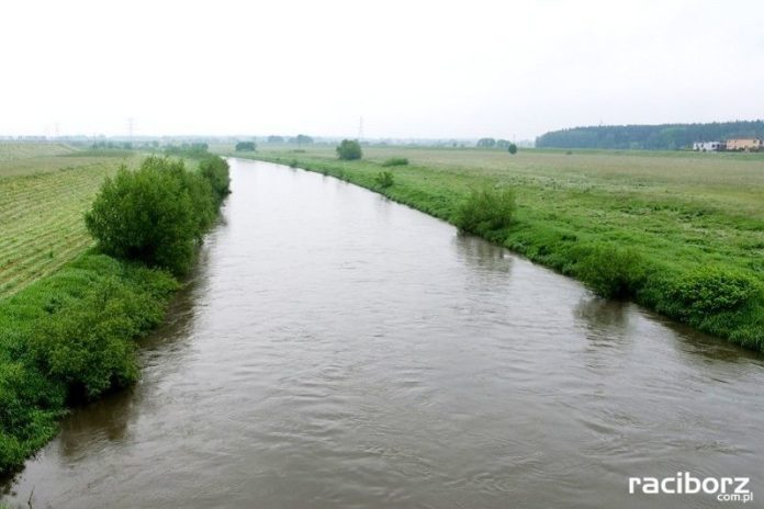 odra kanal ulga