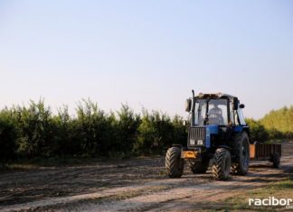 rolnictwo traktor