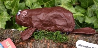 pamiatka_amelia_zganiacz