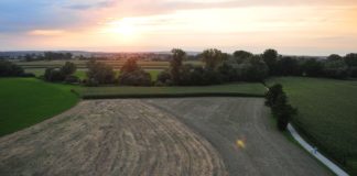 Graniczne Meandry Odry i wieża widokowa w Chałupkach