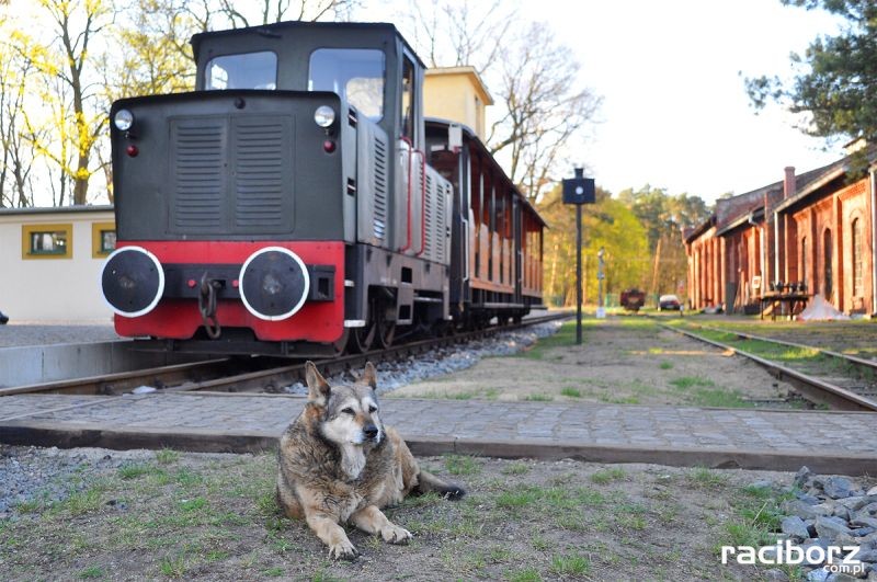 Zabytkowa Stacja Kolei Wąskotorowej w Rudach