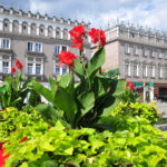 Lipiec w Raciborzu pełen atrakcji