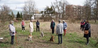 skwer przy ogrodowej 10