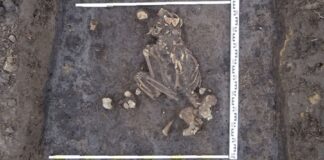 cmentarzysko stara wies