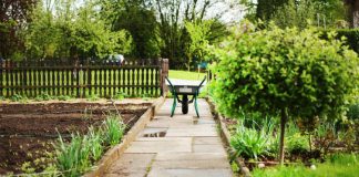 dzialka ogrod wiosna