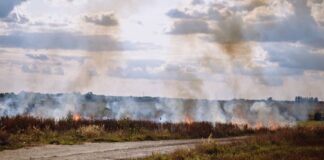 pozar pole wypalanie traw