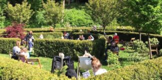 arboretum bramy morawskiej (6)