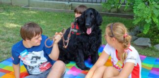 biblioteka bez barier