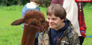 alpalkoterapia lato z biblioteka dla osob z niepelnosprawnosciami