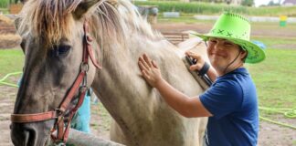 biblioteka bez barier