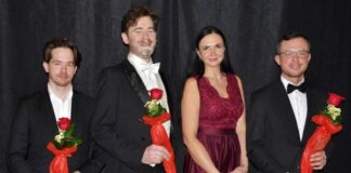 koncert kameralny zamek