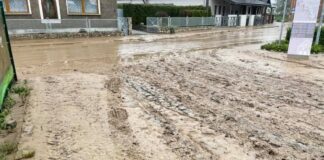 krzyzanowice droga nawalnica