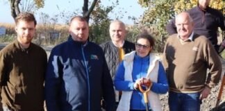 lacza nas drzewa krowiarki miedonia