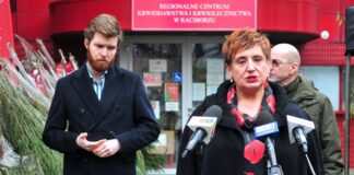 rckik raciborz choinki lasy