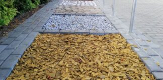 szonowice sciezka sensoryczna