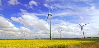 wiatraki pole wiatr oze