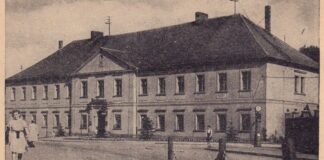 palac wodzislaw slaski